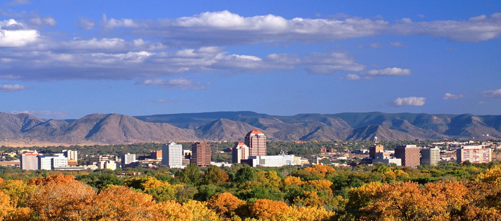 ✈️ Land of Enchantment ✈️