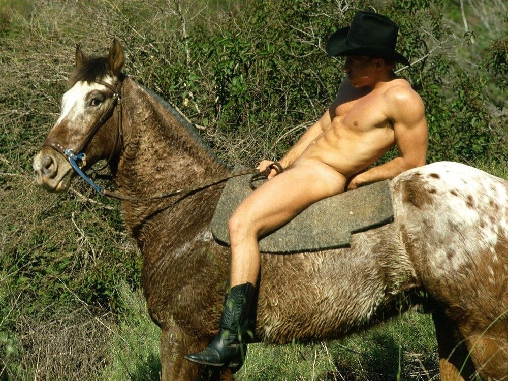 Colt07.jpg