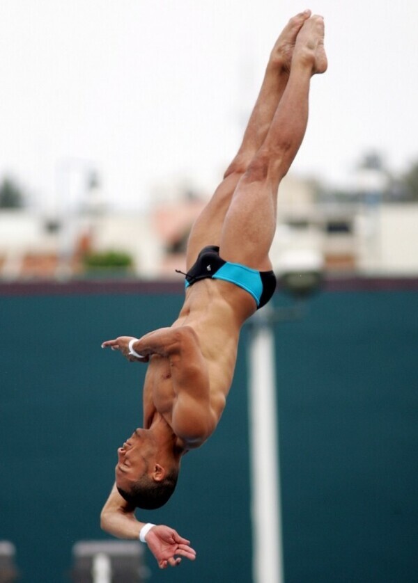 diving 0281.jpg