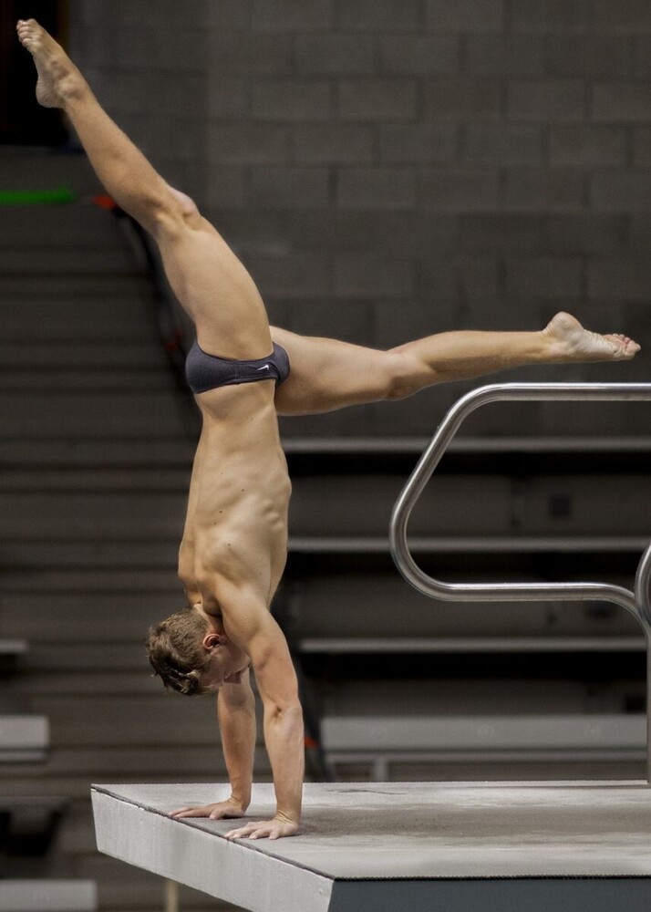 diving 8357.jpg