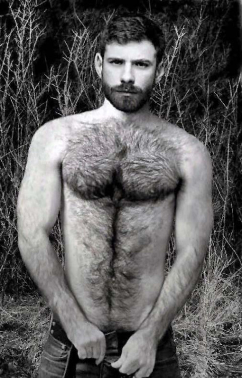 Bear B&W 05.jpg