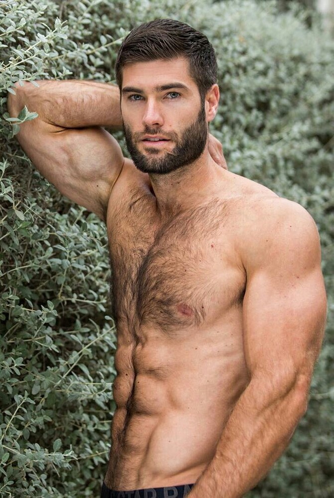Bear Beef 07.jpg