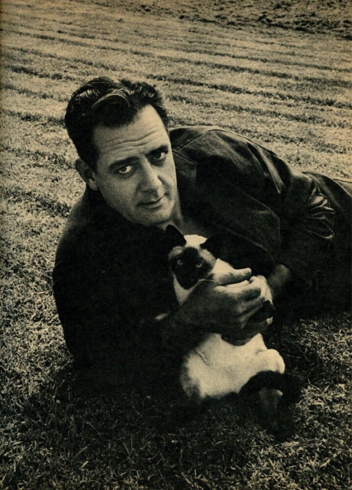 Raymond001.jpg
