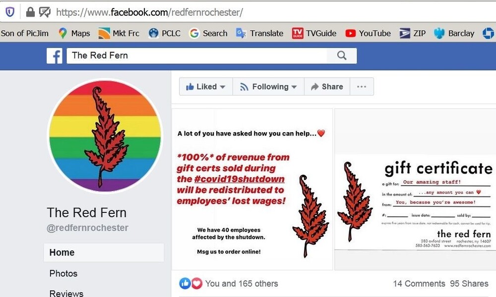 red fern.jpg