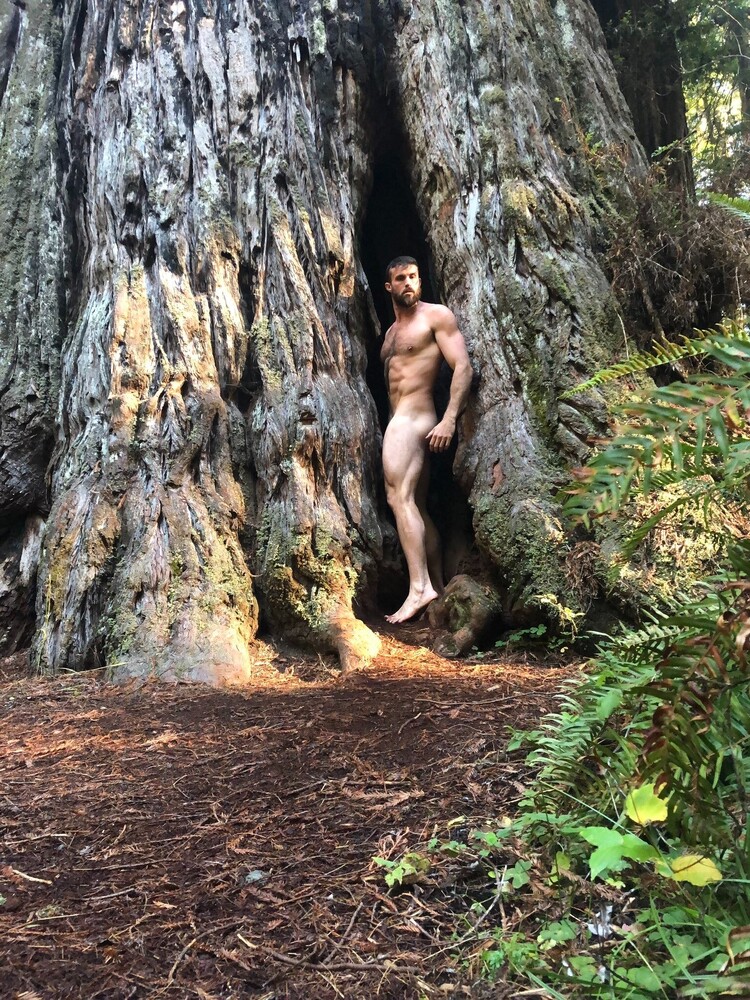 bosqueeir9w0_rw0.thumb.jpg.7c67765db1a2f