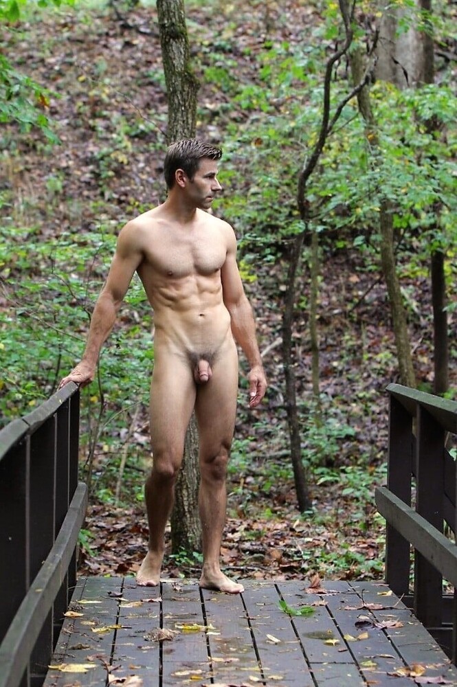 86774.thumb.jpg.4593d495e151784ed329e9cc