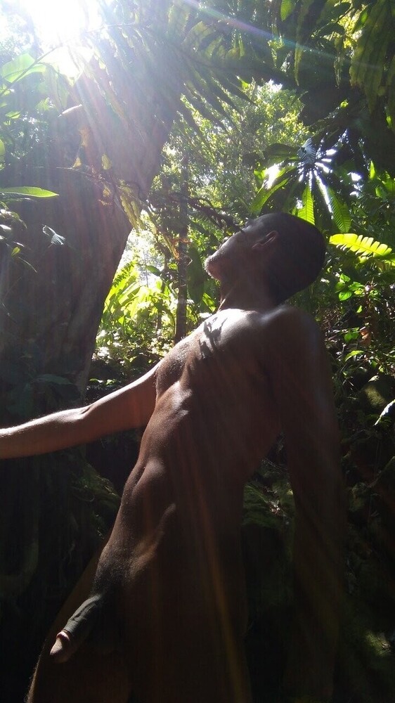 image.thumb.jpeg.c565b9c0b0302c515886a0e