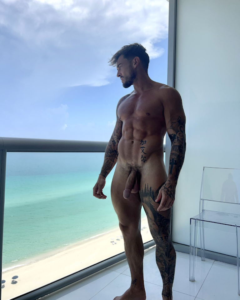 BeardedBBRatwindow.png.5f98cde773112e4e4